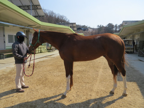 블루선 (BLUE SUN)의 사진