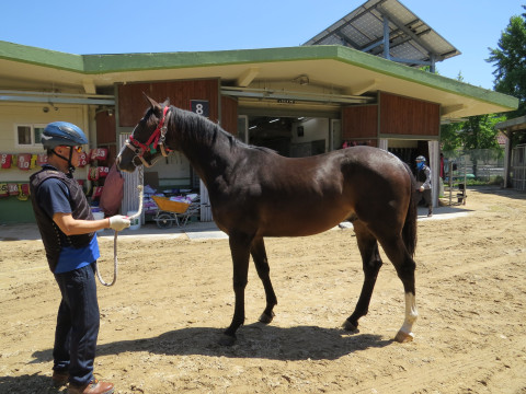 강나루 (GANGNARU)의 사진