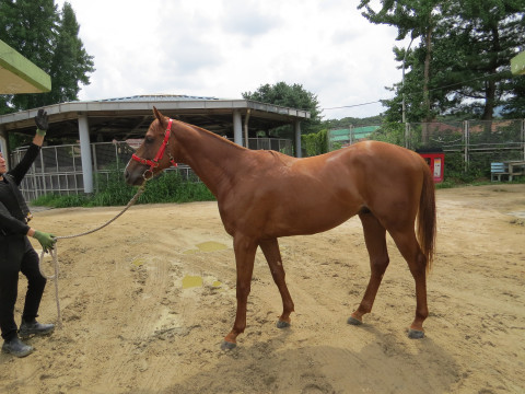 아모스천하 (AMOS CHEONHA)의 사진