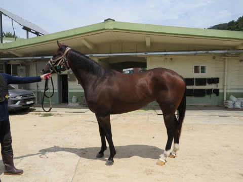 운주클리어 (UNJU CLEAR)의 사진