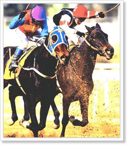 ������ �޸��� ���ָ�