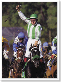 ������ũ�� ���ָ��