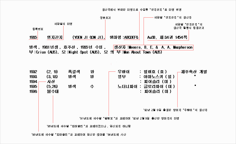 ���뼭(���ϸ� ���ļ��� �κ�) ����
