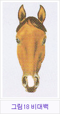 �׸�18 ����