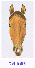 �׸�19 �� ��