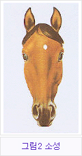�׸�2 �Ҽ�