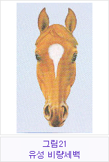 �׸�21 �������񷮼���