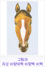 �׸�26 �������񷮴�顤�񷮹顤���