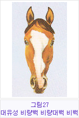 �׸�27 ���������񷮹顤�񷮴�顤���