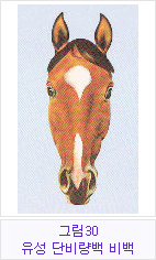 �׸�30 �������ܺ񷮹顤���