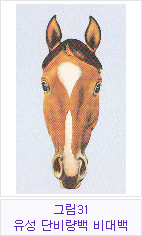 �׸�31 �������ܺ񷮹顤����