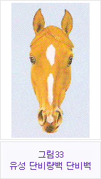 �׸�33 �������ܺ񷮹顤�ܺ��