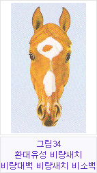 �׸�34 ȯ���������񷮻�ġ���񷮴�顤�񷮻�ġ����ҹ�
