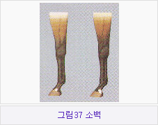 �׸�37 �ҹ�