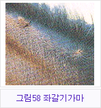 �׸�58 �°��Ⱑ��