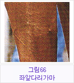 �׸�66 �¾մٸ�����