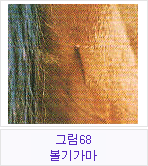�׸�68 ���Ⱑ��