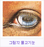 �׸�72 �����⴫