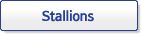 Stallions