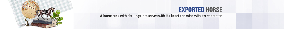 EXPORTED HORSE - A horse runs with his lungs, preserves with it`s heart and wins with it`s character.