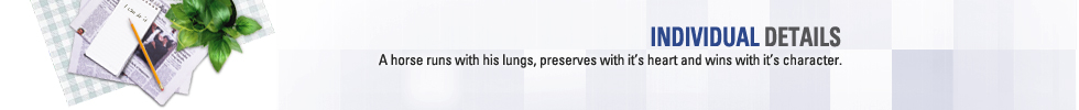INDIVIDUAL DETAILS - A horse runs with his lungs, preserves with it`s heart and wins with it`s character.