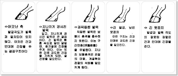 ���� ���� �߸�� ��