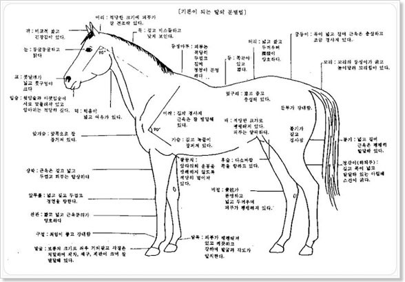 �⺻�� �Ǵ� ��ü �к���