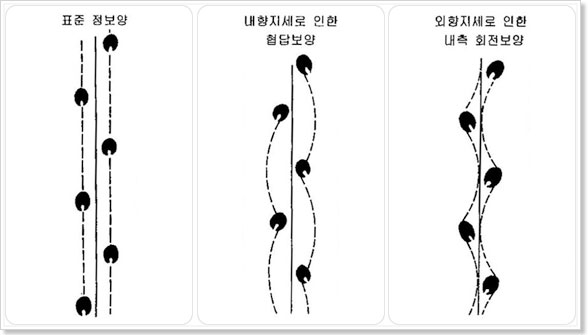 ���� ��������-ǥ�� ������, ���������� ���� ���㺸��, ���������� ���� ���� ȸ������