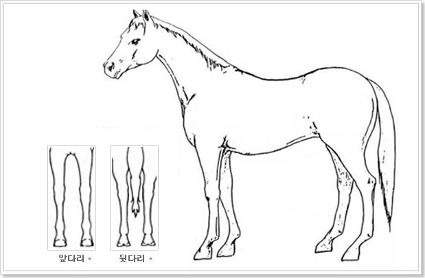 ���� �̻����� �մٸ�, �޴ٸ� ��� 