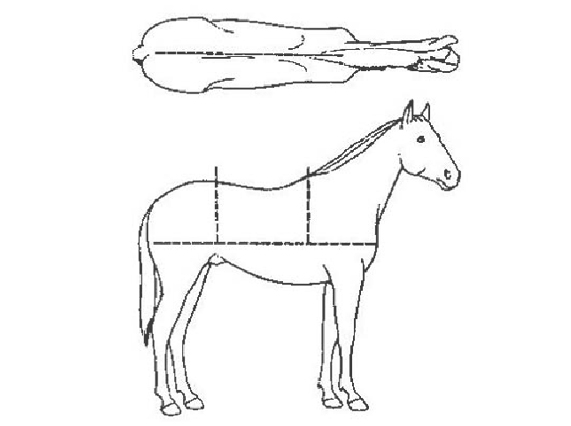 ������ �¿�� 2��еǾ� �����̷� ü���� ������������� ������ 3����Ͽ� ������ �̷� ü��