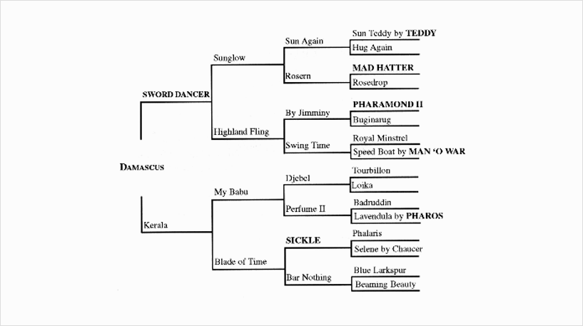 DamascusÀÇ 4´ë Ç÷ÅëÇ¥(1. °¡Àå À§ÀÇ Ç÷ÅëÇ¥ ´ë·Î µû¶ó°¬À» °æ¿ì(ºÎ¸¶°è¿)=Damascus-Sword Dancer-Songlow-Sun Again-Sun Teddy by Teddy 2. °¡Àå ¾Æ·¡ÀÇ Ç÷ÅëÇ¥ ´ë·Î µû¶ó°¬À» °æ¿ì(¸ð¸¶°è¿)=Damascus-Kerala-Blade of Time-Bar Nothing-Beaming Beauty)
