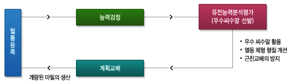 ±¹³»»ê¸¶ÀÇ °³·®°úÁ¤: Ç÷Åëµî·Ï-´É·Â°ËÁ¤-À¯Àü´É·ÂºÐ¼®(¿ì¼ö ¾¾¼ö¸» ¼±¹ß)/¿ì¼ö¾¾¼ö¸» Ȱ¿ë, ¿µîüÇüÇüÁú°³¼±, ±ÙÄ£±³¹èÀÇ ¹æÁö-°èȹ±³¹è/°³·®µÈ ¸¶ÇÊÀÇ »ý»ê