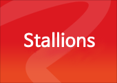 List of Stallions