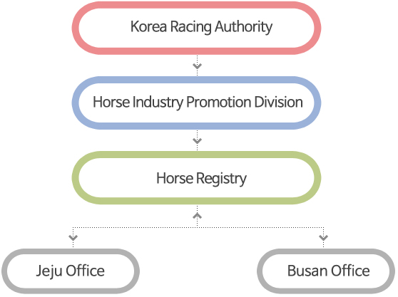 STRUCTURE OF HORSE REGISTRY