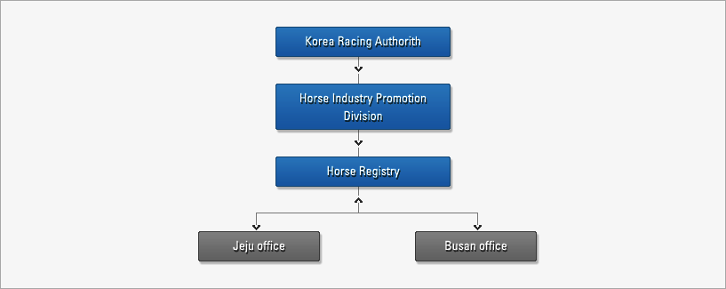 STRUCTURE OF HORSE REGISTRY