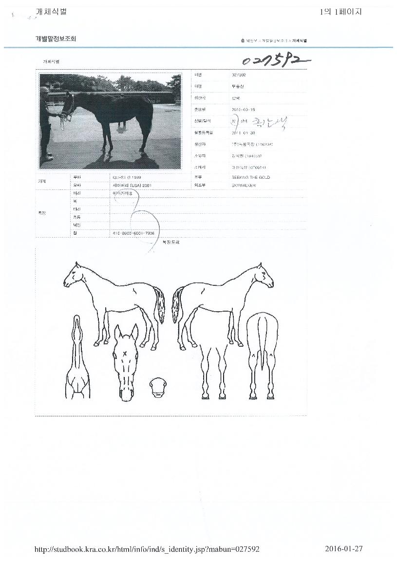µÎ½Â»êÀÇ Ãø¸é,¿ì¸é,µÞ¸é,µÎ»ó,´Ù¸®ÀÇ Æ¯Â¡µµÇØ