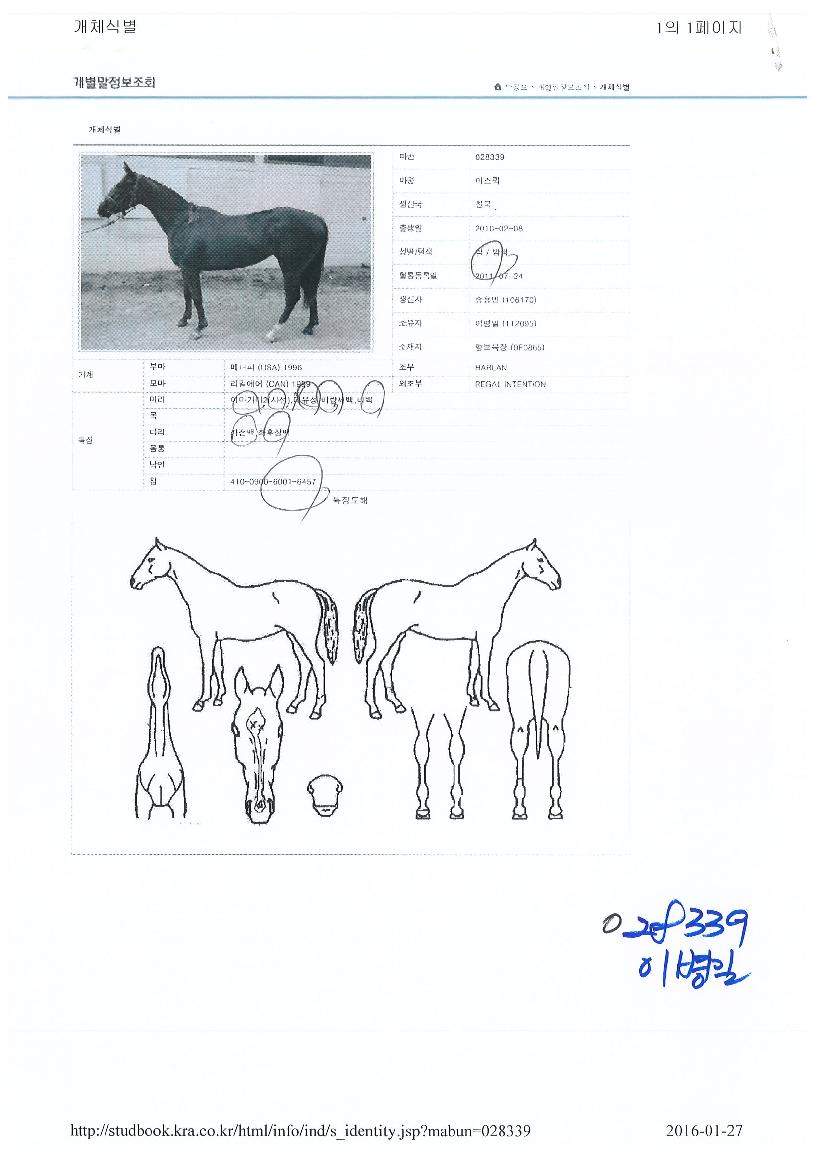 ¹Ì½ºÄüÀÇ Ãø¸é,¿ì¸é,µÞ¸é,µÎ»ó,´Ù¸®ÀÇ Æ¯Â¡µµÇØ