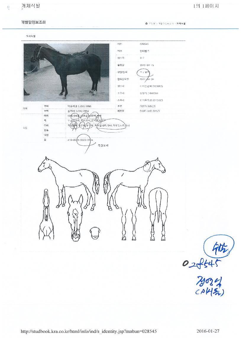 �ε����� ����,���,�޸�,�λ�,�ٸ��� Ư¡����