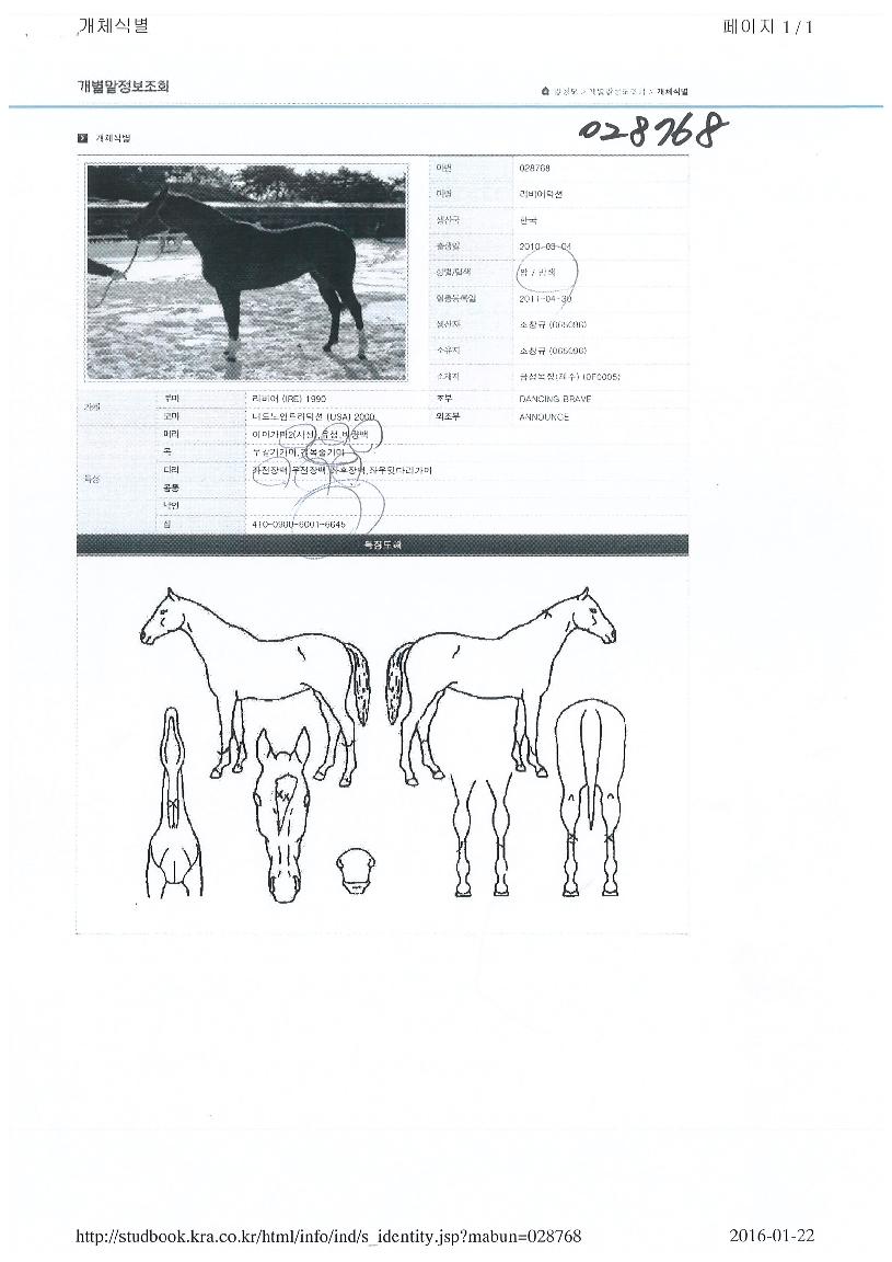 ���������� ����,���,�޸�,�λ�,�ٸ��� Ư¡����