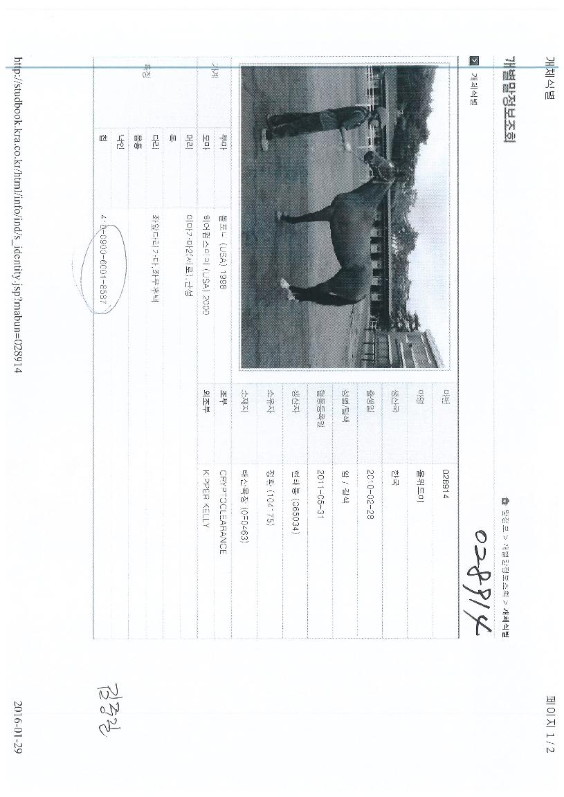 ¿ÃÀ§µå¹ÌÀÇ Ãø¸é,¿ì¸é,µÞ¸é,µÎ»ó,´Ù¸®ÀÇ Æ¯Â¡µµÇØ