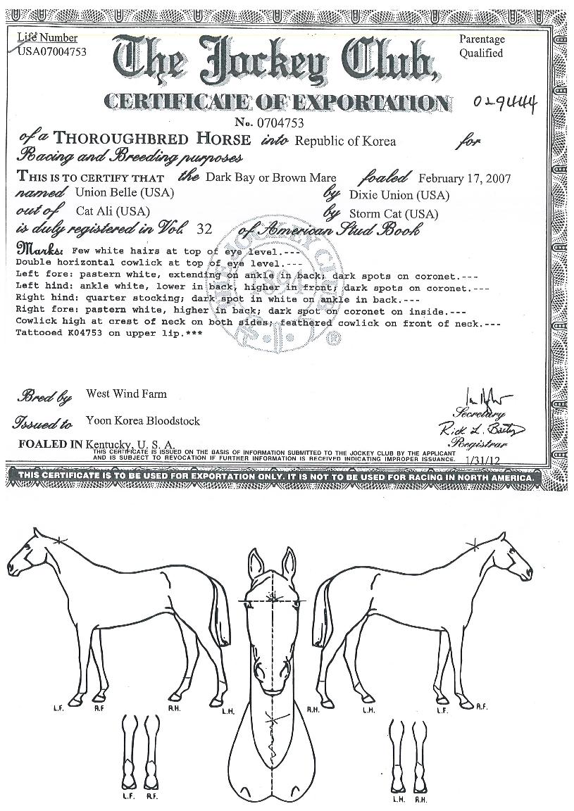 ���Ͼ��� ����,���,�޸�,�λ�,�ٸ��� Ư¡����