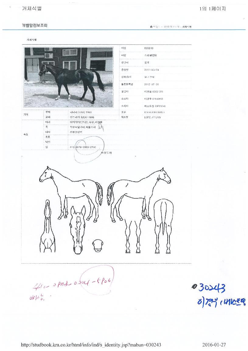 �����ŷ���� ����,���,�޸�,�λ�,�ٸ��� Ư¡����