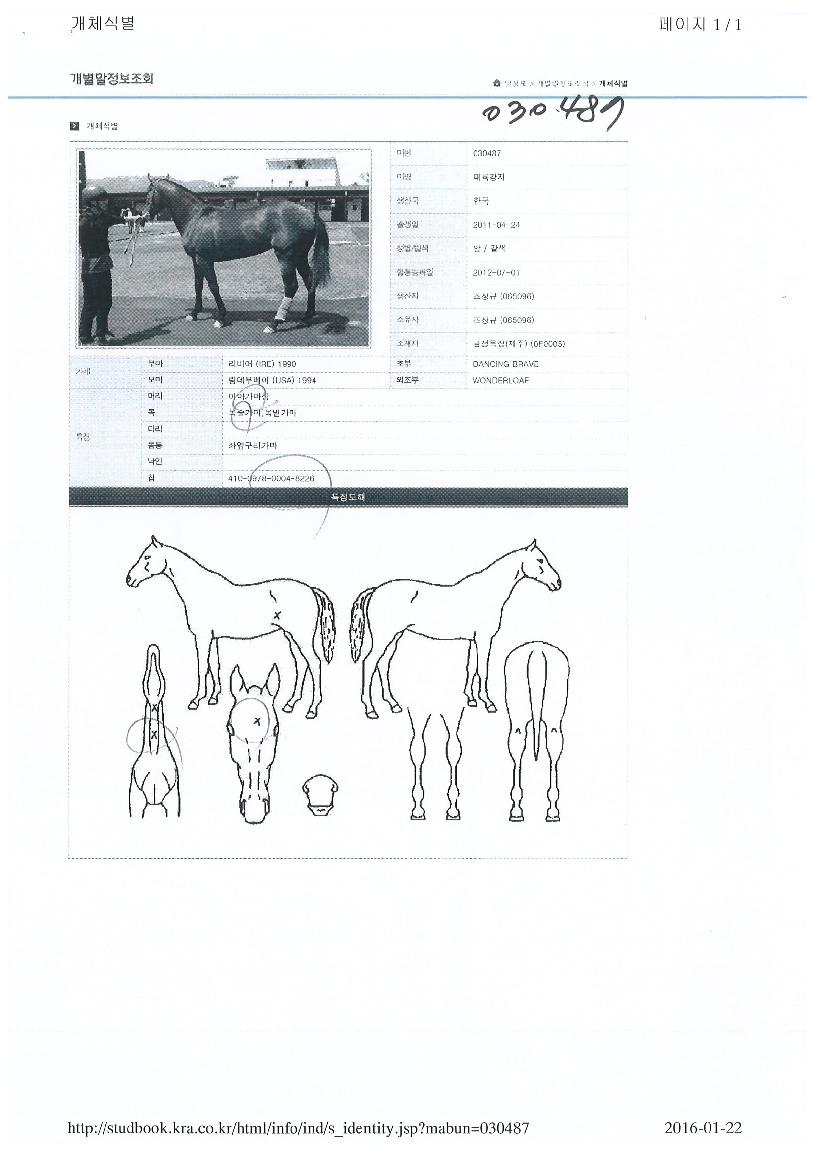 ��������� ����,���,�޸�,�λ�,�ٸ��� Ư¡����