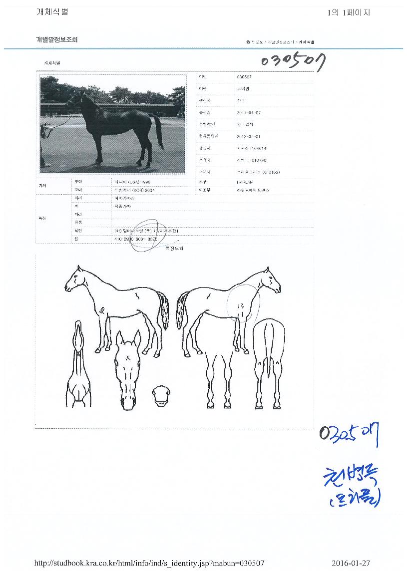 �������� ����,���,�޸�,�λ�,�ٸ��� Ư¡����