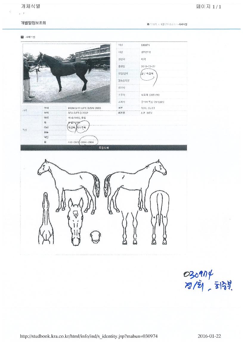 ��̾���� ����,���,�޸�,�λ�,�ٸ��� Ư¡����