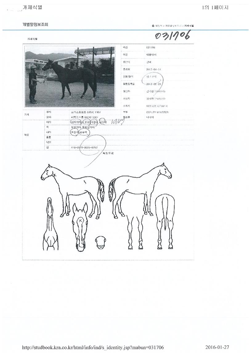 ´ë¿Õ´ëºñÀÇ Ãø¸é,¿ì¸é,µÞ¸é,µÎ»ó,´Ù¸®ÀÇ Æ¯Â¡µµÇØ