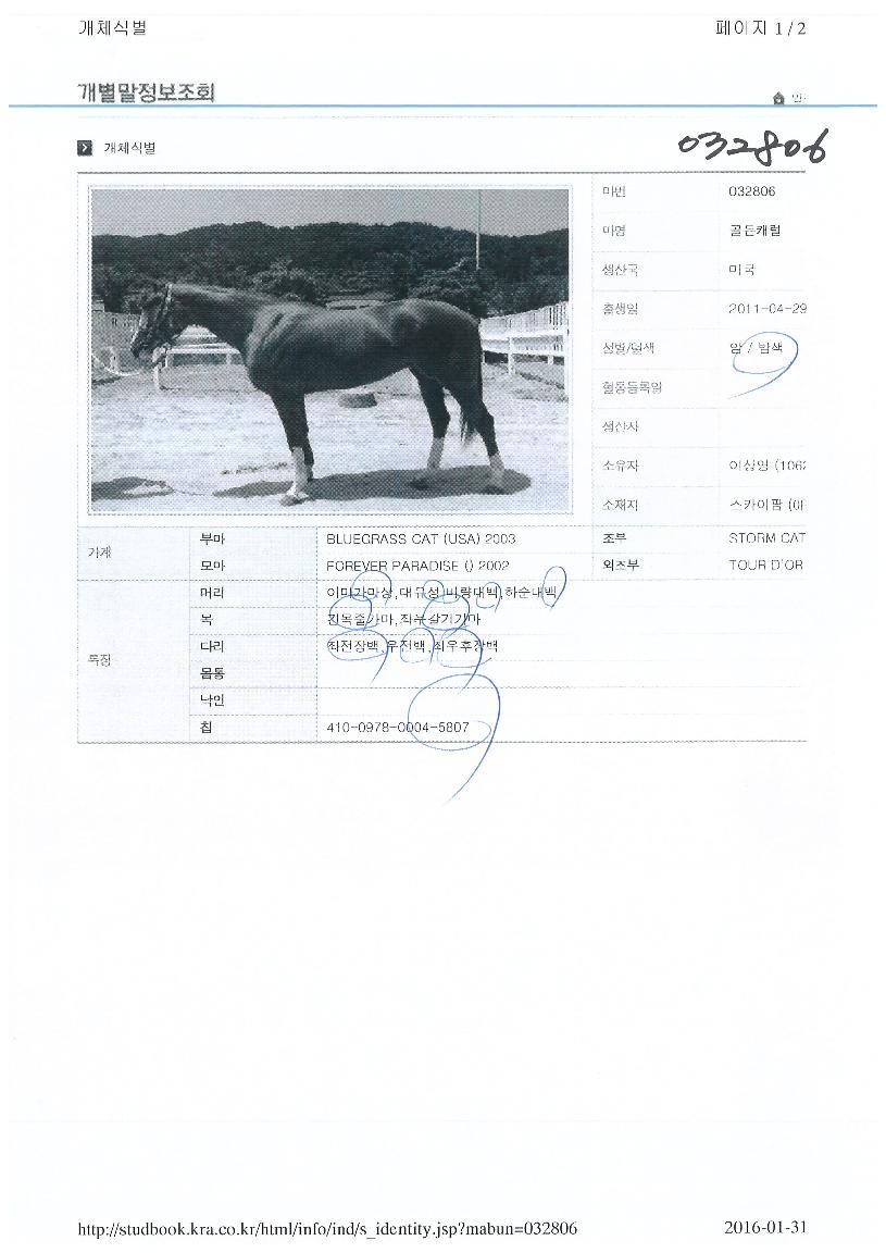 ���ĳ���� ����,���,�޸�,�λ�,�ٸ��� Ư¡����