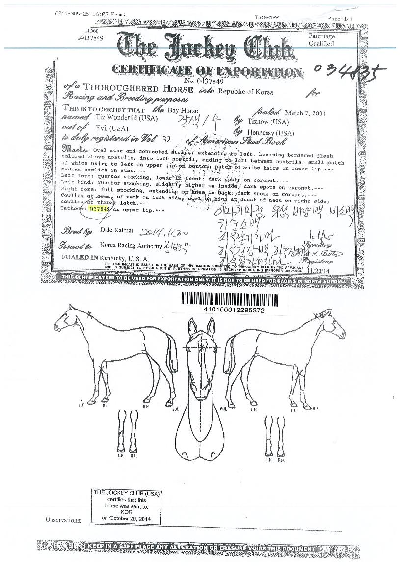 Ƽ�����Ǯ�� ����,���,�޸�,�λ�,�ٸ��� Ư¡����