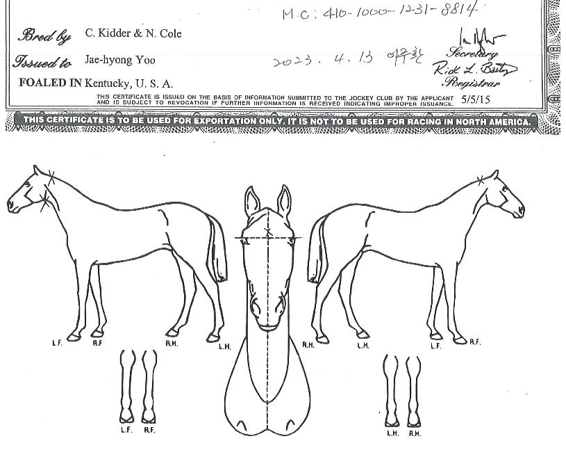 ���ϱ���� ����,���,�޸�,�λ�,�ٸ��� Ư¡����