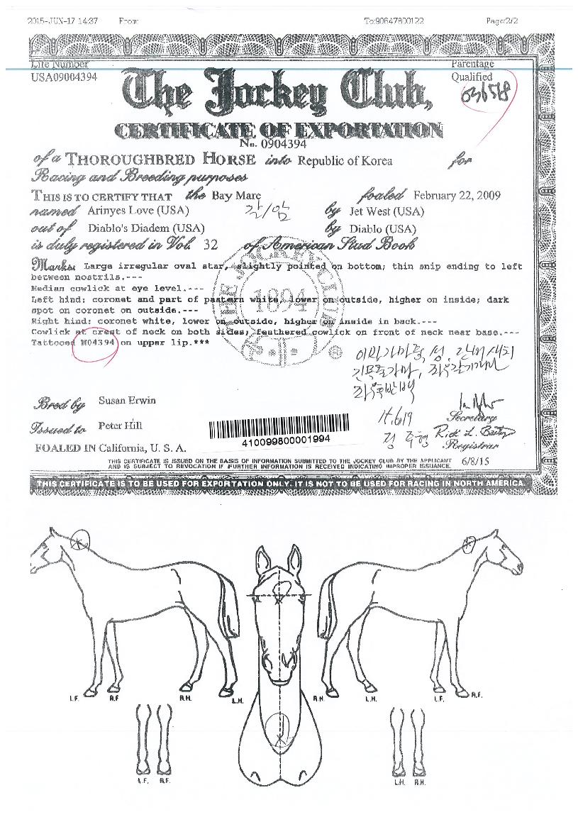 �Ƹ����������� ����,���,�޸�,�λ�,�ٸ��� Ư¡����